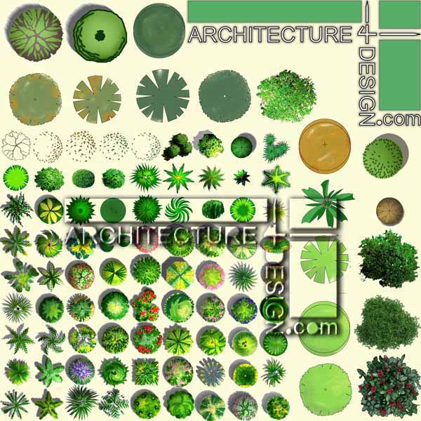 trees plan for architectural photoshop presentation