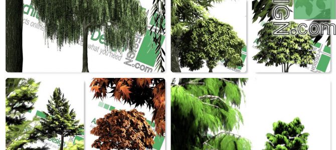 High-resolution cut-out trees: collection 2 (PNG format) High-resolution cut-out trees: collection 2 (PNG format)