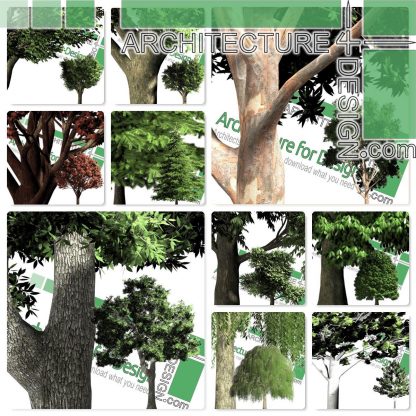 hogh-resolution cut-out trees