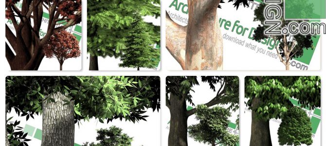 High-resolution cut-out trees: collection 1 (PNG format) High-resolution cut-out trees: collection 1 (PNG format)