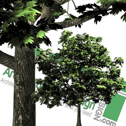 cut-out tree PNG template