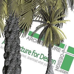 hi-resolution cut-out palm tree PNG