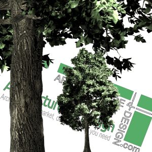 high-resolution cut out tree PNG