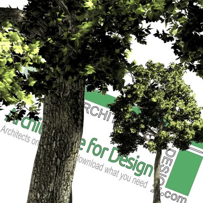 high-resolution cut-out png trees