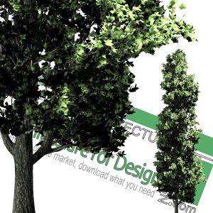 high-resolution cut-out trees