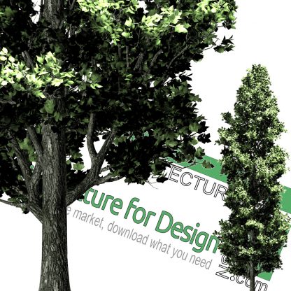 high-res png cut-out trees