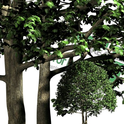 cut-out trees for download