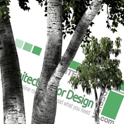 cut out trees for photoshop