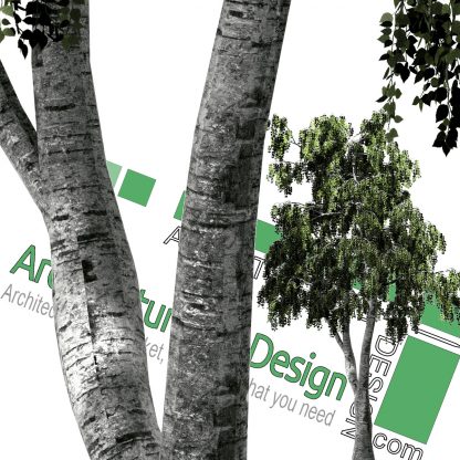 high-res cut-out trees