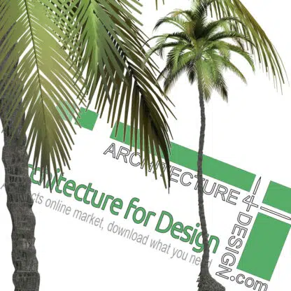 hi-resolution cut-out palm tree PNG