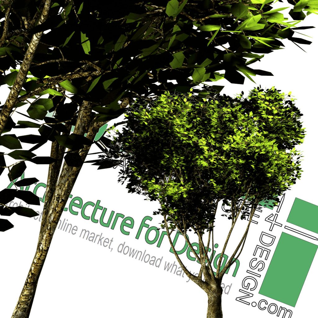 High-resolution cut-out trees: collection 3 (PNG format) - Architecture