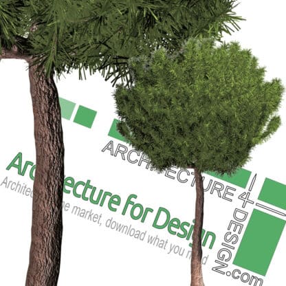 high-resolution tree cut-out PNG