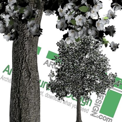 High-resolution cut_out trees PNG