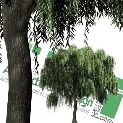 High-resolution cut_out Weeping willow tree PNG