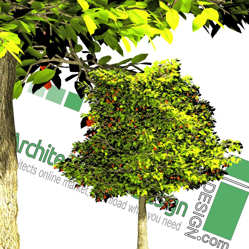 High-resolution cut-out trees: collection 4 (PNG format) - Architecture