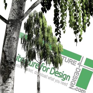 High-resolution cut_out trees PNG