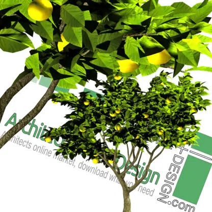 high-resolution fruit tree cut-out PNG