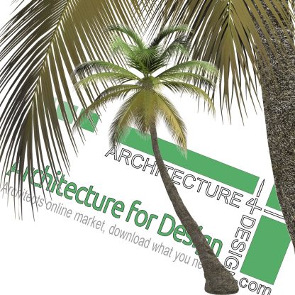 hi-resolution cut-out palm tree PNG