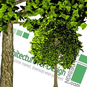 high-resolution tree cut-out PNG