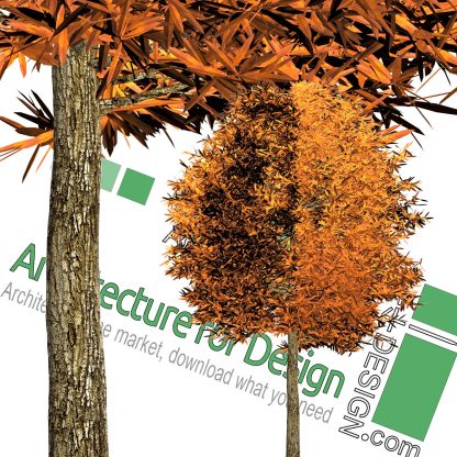 high-resolution tree cut-out PNG