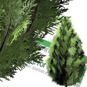 high-resolution cut-out cedar tree PNG