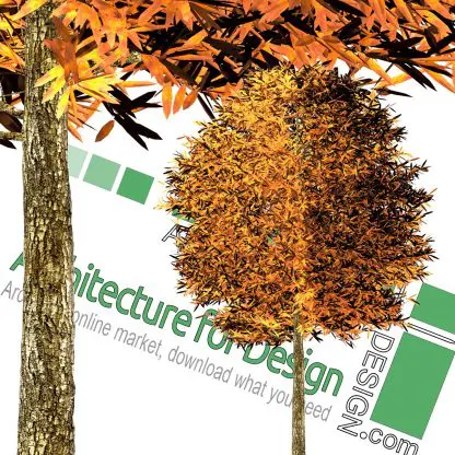 high-resolution tree cut-out PNG