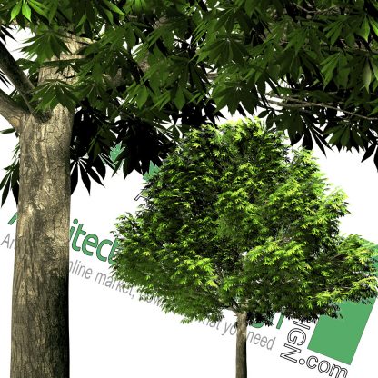 High-resolution cut-out trees: collection 1 (PNG format) - Architecture