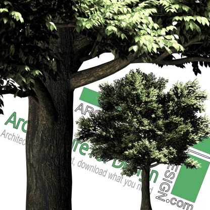 high-resolution png cut-out trees