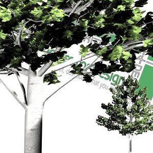 high-resolution png cut-out trees