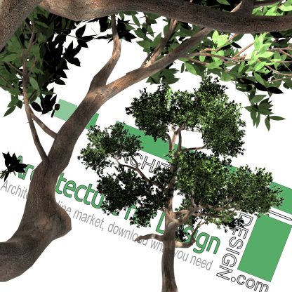High-resolution cut-out trees: collection 2 (PNG format) - Architecture