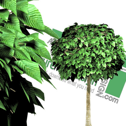high-resolution cut-out tree PNG