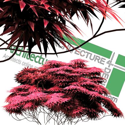 high-resolution cut-out flower bush PNG