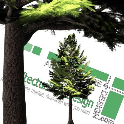 high-resolution cut-out pine tree