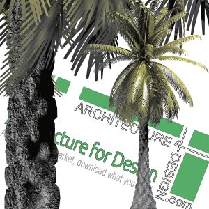 hi-resolution cut-out palm tree PNG