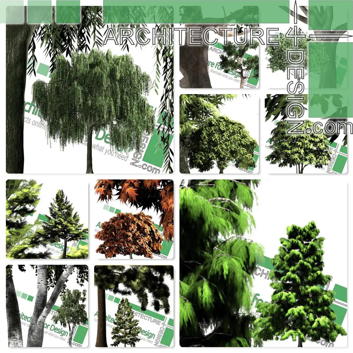 Trees PNG