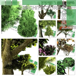 png high-quality trees
