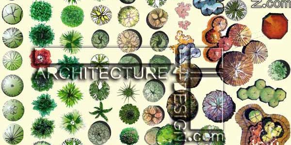 200 trees plan for architectural Photoshop rendering (PSD format) 200 trees plan for architectural Photoshop rendering (PSD format)