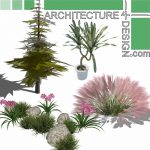 Trees, shrubs and flowering plants Sketchup models, Free download!