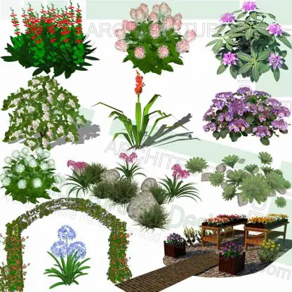 flowering plants SketchUp models and flower gate