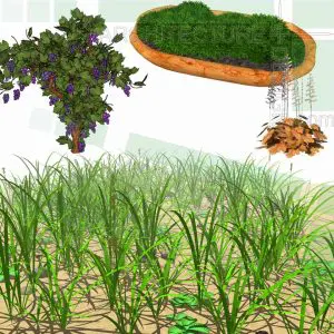 grass SketchUp models