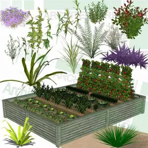 Shrubs and garden bush SketchUp models