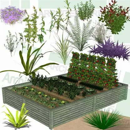 Shrubs and garden bush SketchUp models