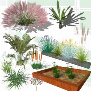 Shrubs and garden bush SketchUp models