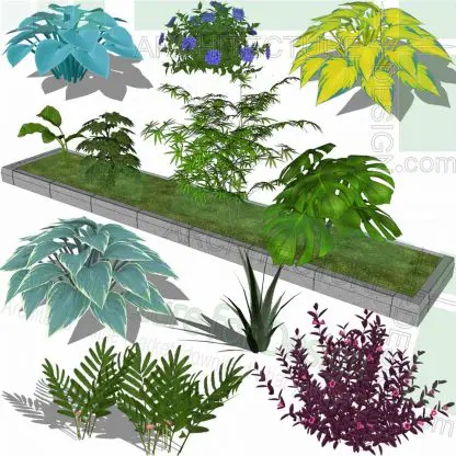 Shrubs and garden bush SketchUp models