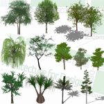 Trees, Shrubs And Flowering Plants Sketchup Models, Free Download!