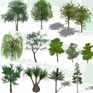 Willow trees SketchUp models
