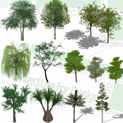 Willow trees SketchUp models