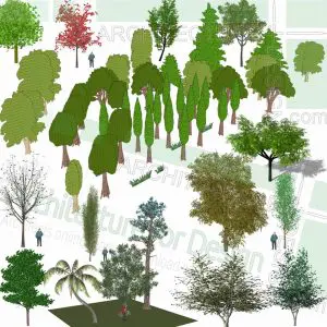 trees SketchUp models