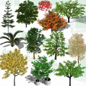 colorful trees SketchUp models