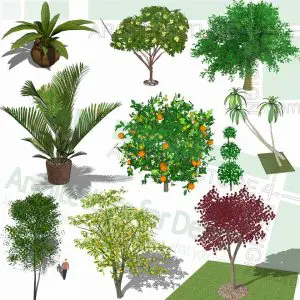 trees SketchUp models